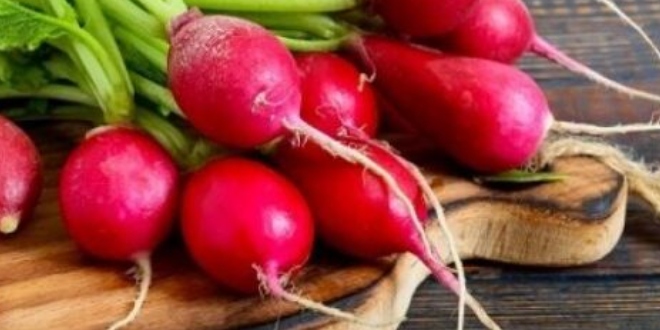 Namnlos-9 - 2022-06-08T195441.276 (11) - 2022-12-20T190128.262 - 2023-08-18T213314.328