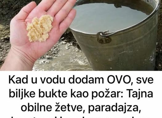 297150125_3042529559379190_9054654934121747608_n-5-526x381