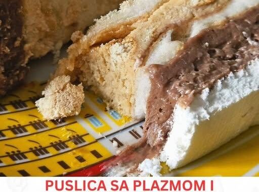 puslica-sa-plazmom