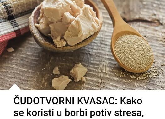 kvasac