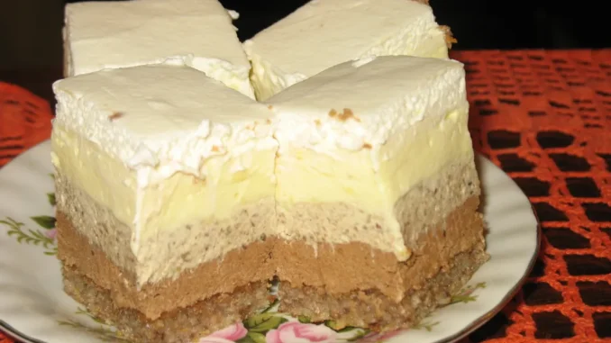 torta-mrena-coolinarka