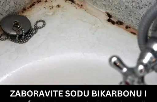 SODU-512x334