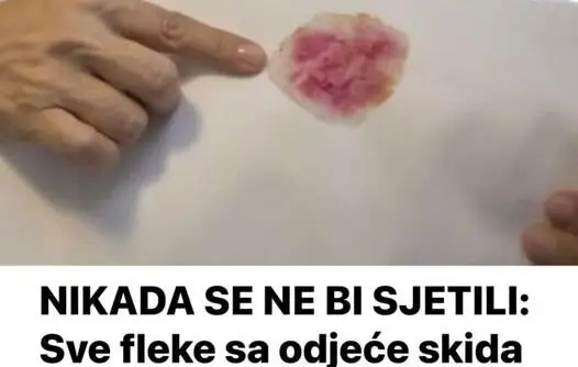 FLEKE-526x334
